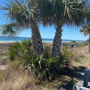 Meet your Posher, Gary